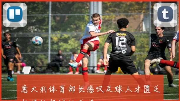 意大利体育部长感叹足球人才匮乏与其他领域的反差