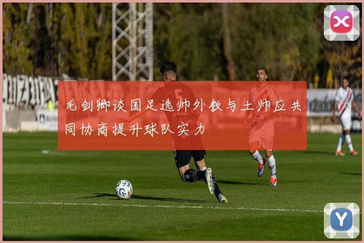 毛剑卿谈国足选帅外教与土帅应共同协商提升球队实力