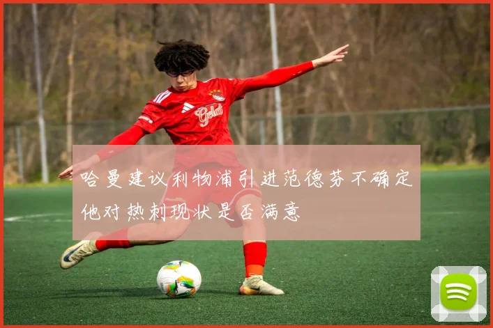 哈曼建议利物浦引进范德芬不确定他对热刺现状是否满意