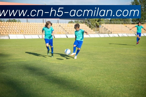 米兰体育平台生态图