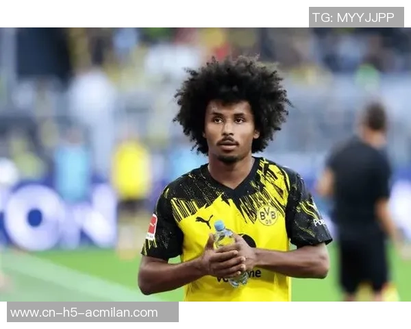 多特蒙德球员身价大幅波动阿德耶米领涨1500万欧元